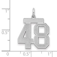 Sterling Silver Rhodium-plated Satin Number 48 Charm view 2