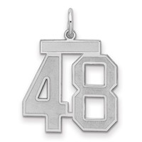 Sterling Silver Rhodium-plated Satin Number 48 Charm view 1
