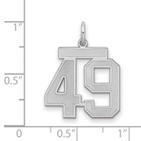 Sterling Silver Rhodium-plated Satin Number 49 Charm view 2