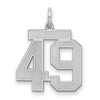 Sterling Silver Rhodium-plated Satin Number 49 Charm view 1