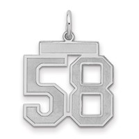 Sterling Silver Rhodium-plated Satin Number 58 Charm view 1