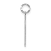 Sterling Silver Rhodium-plated Satin Number 60 Charm view 2