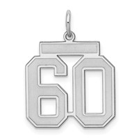 Sterling Silver Rhodium-plated Satin Number 60 Charm view 1
