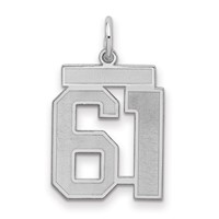 Sterling Silver Rhodium-plated Satin Number 61 Charm view 1