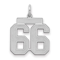 Sterling Silver Rhodium-plated Satin Number 66 Charm view 1