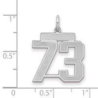 Sterling Silver Rhodium-plated Satin Number 73 Charm view 2