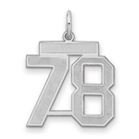 Sterling Silver Rhodium-plated Satin Number 78 Charm view 1