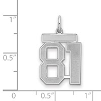 Sterling Silver Rhodium-plated Satin Number 81 Charm view 2
