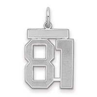 Sterling Silver Rhodium-plated Satin Number 81 Charm view 1