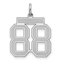 Sterling Silver Rhodium-plated Satin Number 88 Charm view 1