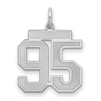 Sterling Silver Rhodium-plated Satin Number 95 Charm view 1