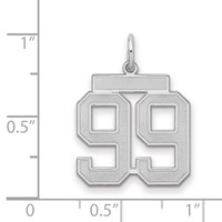 Sterling Silver Rhodium-plated Satin Number 99 Charm view 2