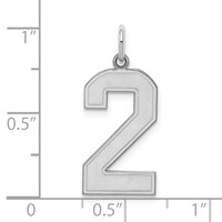 Sterling Silver Rhodium-plated Satin Number 2 Charm view 3