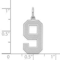 Sterling Silver Rhodium-plated Satin Number 9 Charm view 3