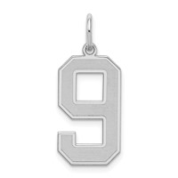 Sterling Silver Rhodium-plated Satin Number 9 Charm view 1