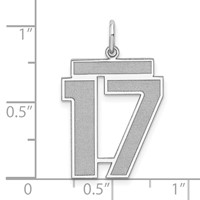 Sterling Silver Rhodium-plated Satin Number 17 Charm view 3