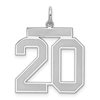 Sterling Silver Rhodium-plated Satin Number 20 Charm view 1