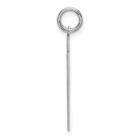 Sterling Silver Rhodium-plated Satin Number 21 Charm view 2