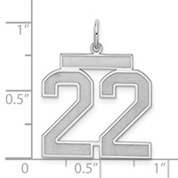 Sterling Silver Rhodium-plated Satin Number 22 Charm view 3
