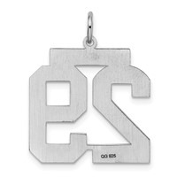 Sterling Silver Rhodium-plated Satin Number 29 Charm view 4