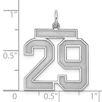 Sterling Silver Rhodium-plated Satin Number 29 Charm view 3