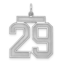 Sterling Silver Rhodium-plated Satin Number 29 Charm view 1