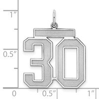 Sterling Silver Rhodium-plated Satin Number 30 Charm view 3
