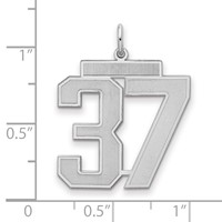 Sterling Silver Rhodium-plated Satin Number 37 Charm view 2