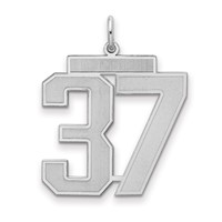 Sterling Silver Rhodium-plated Satin Number 37 Charm view 1