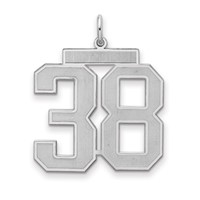 Sterling Silver Rhodium-plated Satin Number 38 Charm view 1