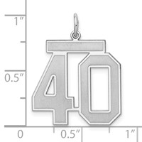 Sterling Silver Rhodium-plated Satin Number 40 Charm view 3