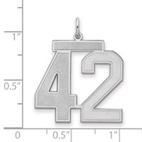 Sterling Silver Rhodium-plated Satin Number 42 Charm view 2