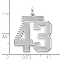 Sterling Silver Rhodium-plated Satin Number 43 Charm view 2