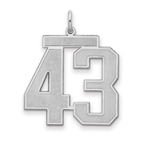 Sterling Silver Rhodium-plated Satin Number 43 Charm view 1