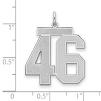 Sterling Silver Rhodium-plated Satin Number 46 Charm view 2
