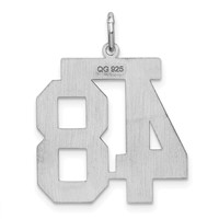 Sterling Silver Rhodium-plated Satin Number 48 Charm view 4