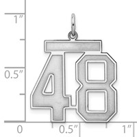 Sterling Silver Rhodium-plated Satin Number 48 Charm view 3