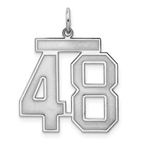 Sterling Silver Rhodium-plated Satin Number 48 Charm view 1