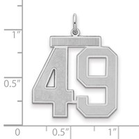 Sterling Silver Rhodium-plated Satin Number 49 Charm view 2