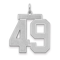 Sterling Silver Rhodium-plated Satin Number 49 Charm view 1
