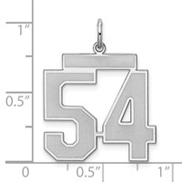Sterling Silver Rhodium-plated Satin Number 54 Charm view 3
