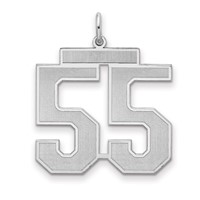 Sterling Silver Rhodium-plated Satin Number 55 Charm view 1