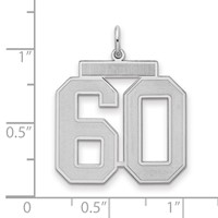 Sterling Silver Rhodium-plated Satin Number 60 Charm view 2