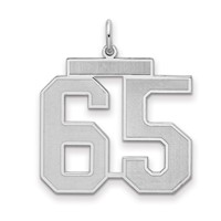 Sterling Silver Rhodium-plated Satin Number 65 Charm view 1