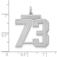 Sterling Silver Rhodium-plated Satin Number 73 Charm view 2
