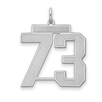 Sterling Silver Rhodium-plated Satin Number 73 Charm view 1