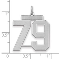 Sterling Silver Rhodium-plated Satin Number 79 Charm view 2