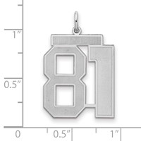 Sterling Silver Rhodium-plated Satin Number 81 Charm view 2