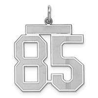 Sterling Silver Rhodium-plated Satin Number 85 Charm view 1