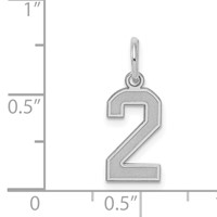 Sterling Silver Rhodium-plated Satin Number 2 Charm view 3